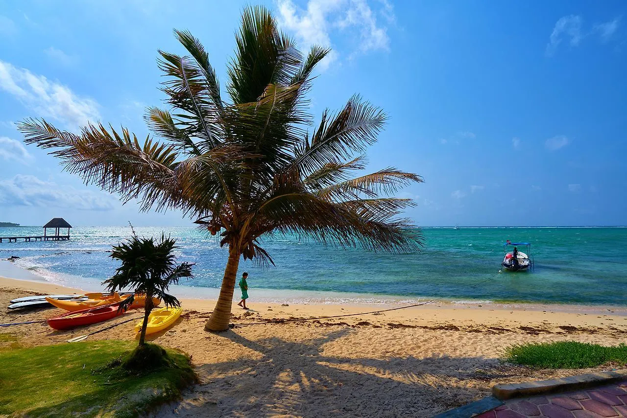 Casa Cenote Bed & Breakfast Tulum